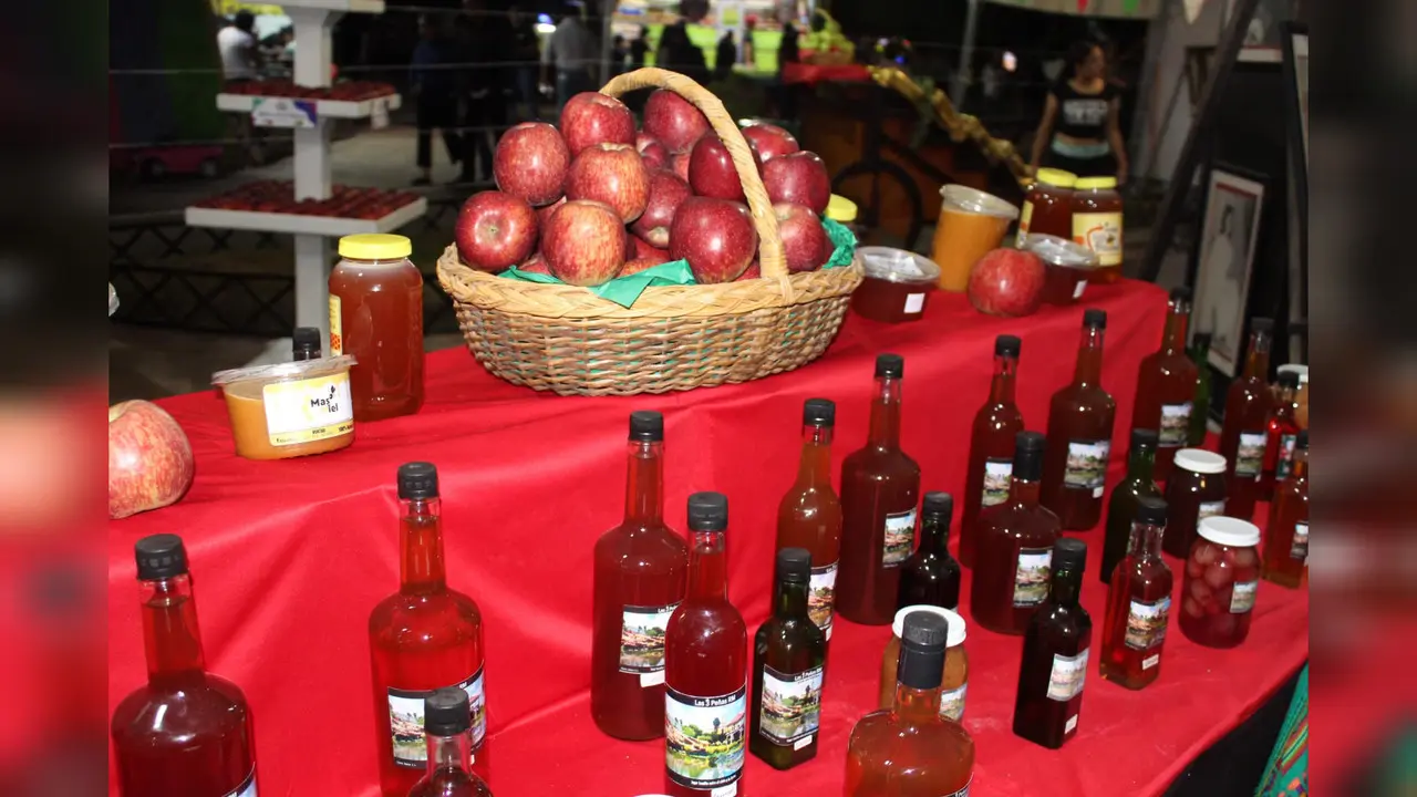 Inauguran la Feria de la Manzana 2023, en Canatlán