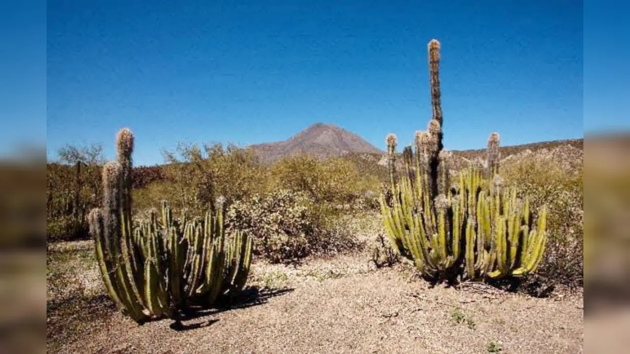 Gómez Palacio sede de Octubre, mes del Desierto Chihuahuense