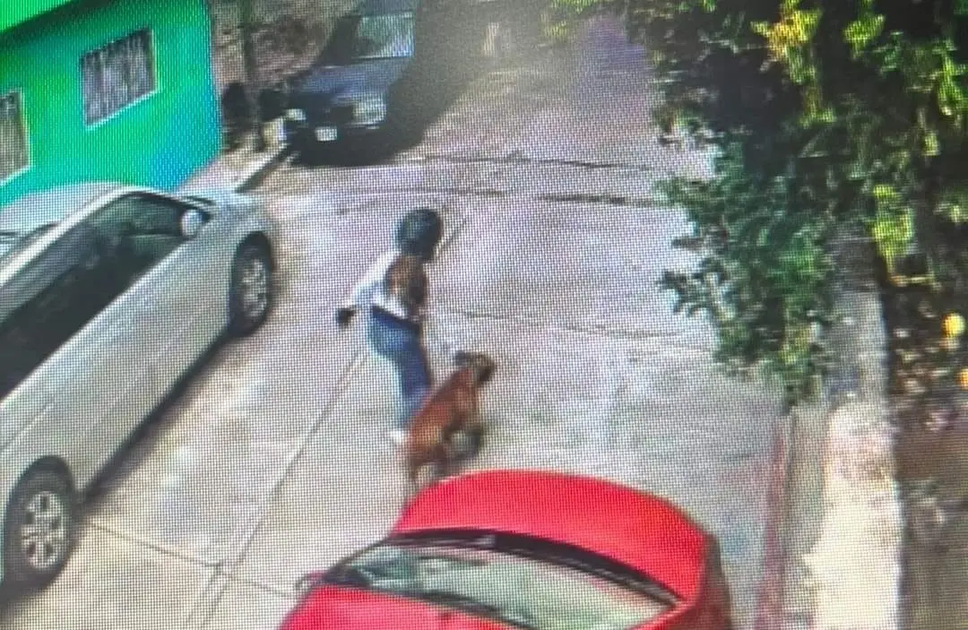 Por las heridas el menor tuvo que ser hospitalizado en Cuernavaca, mientras que el dueño del perro no quiso hacerse responsable de este hecho. Foto: Especial.