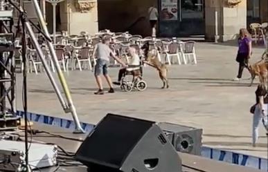 Empuja perro silla de ruedas de adulto mayor en España