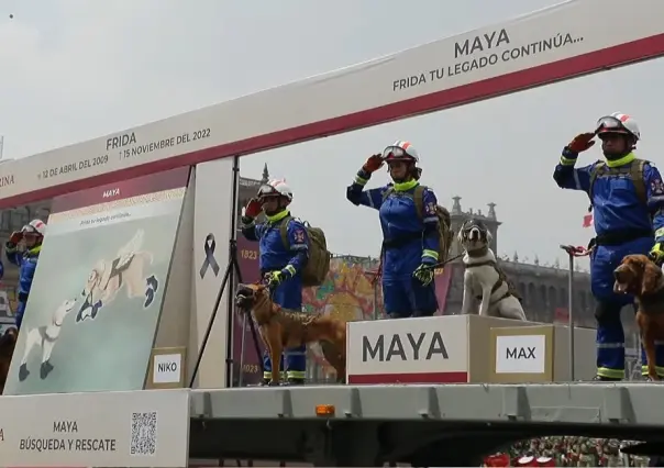 Frida y Proteo, perritos rescatistas son recordados en Desfile de Independencia