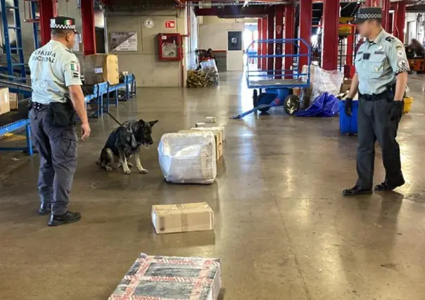 Aseguran droga sintética cristal y 40 kilos de marihuana en San Luis Potosí