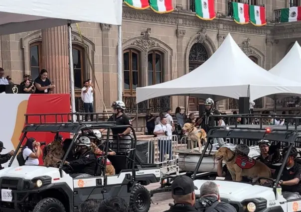 Son lomitos y caballos los más aplaudidos en desfile de Independencia