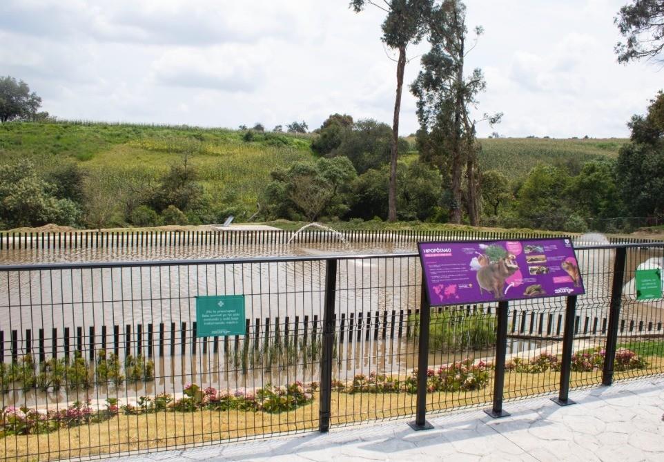 Largas filas se registraron para ingresar al parque ecológico Zacango, lució abarrotado este fin de semana. Foto: FB Parque Ecológico Zacango