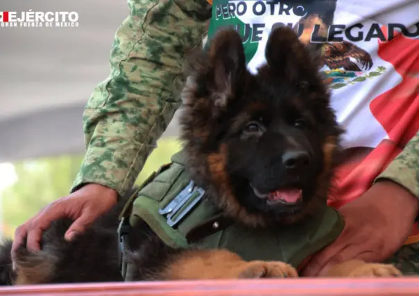 Arkadas debutó en el desfile militar del 16 de septiembre