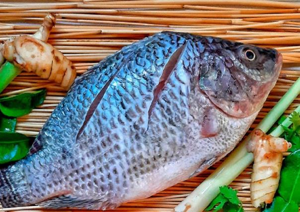 Amputan a mujer sus extremidades por comer tilapia con bacteria come carne