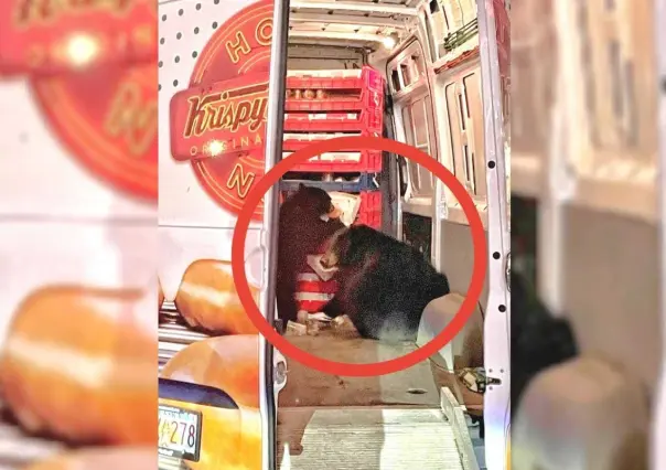 ¡¿Yogui y Bubu?! Osos saquean camioneta de donas de Krispy Kreme