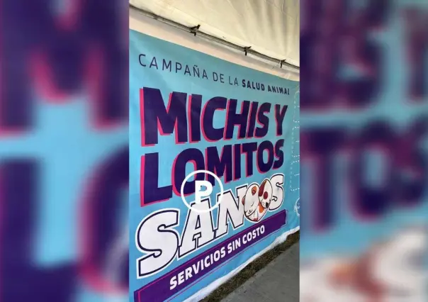 Vacunarán a 4 mil michis y lomitos en San Nicolás, arrancan campaña antirrábica