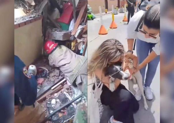 Conoce a Estrellita, la perrita que sobrevivió a una explosión en Colombia