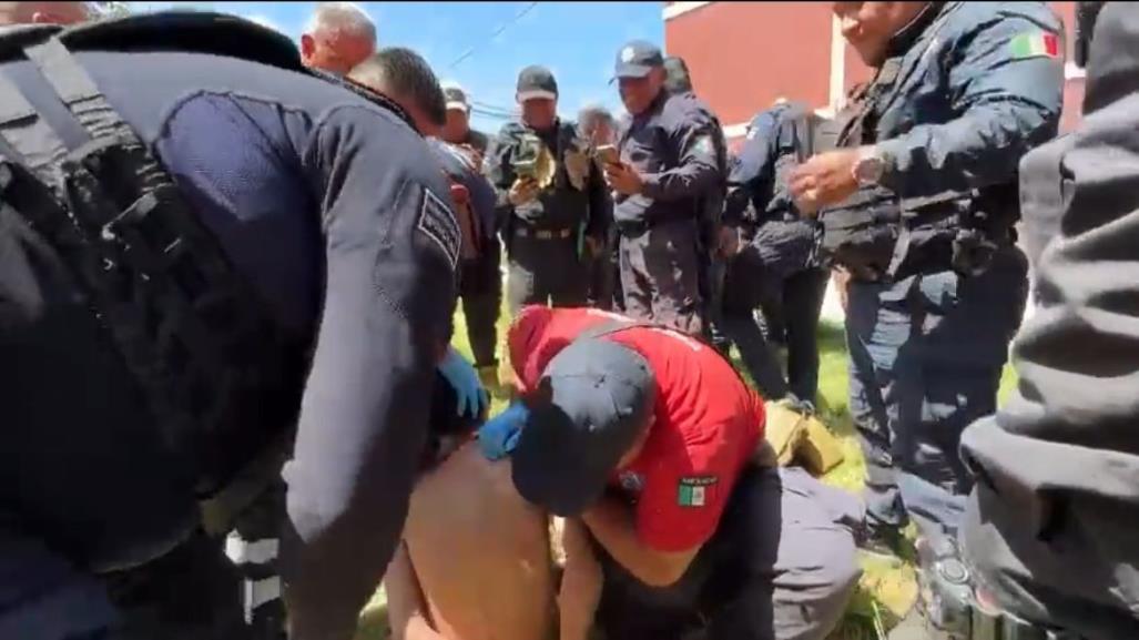 Ladrón trepa árbol para evitar ser detenido por la policía en Coacalco