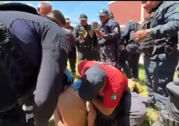 Ladrón trepa árbol para evitar ser detenido por la policía en Coacalco