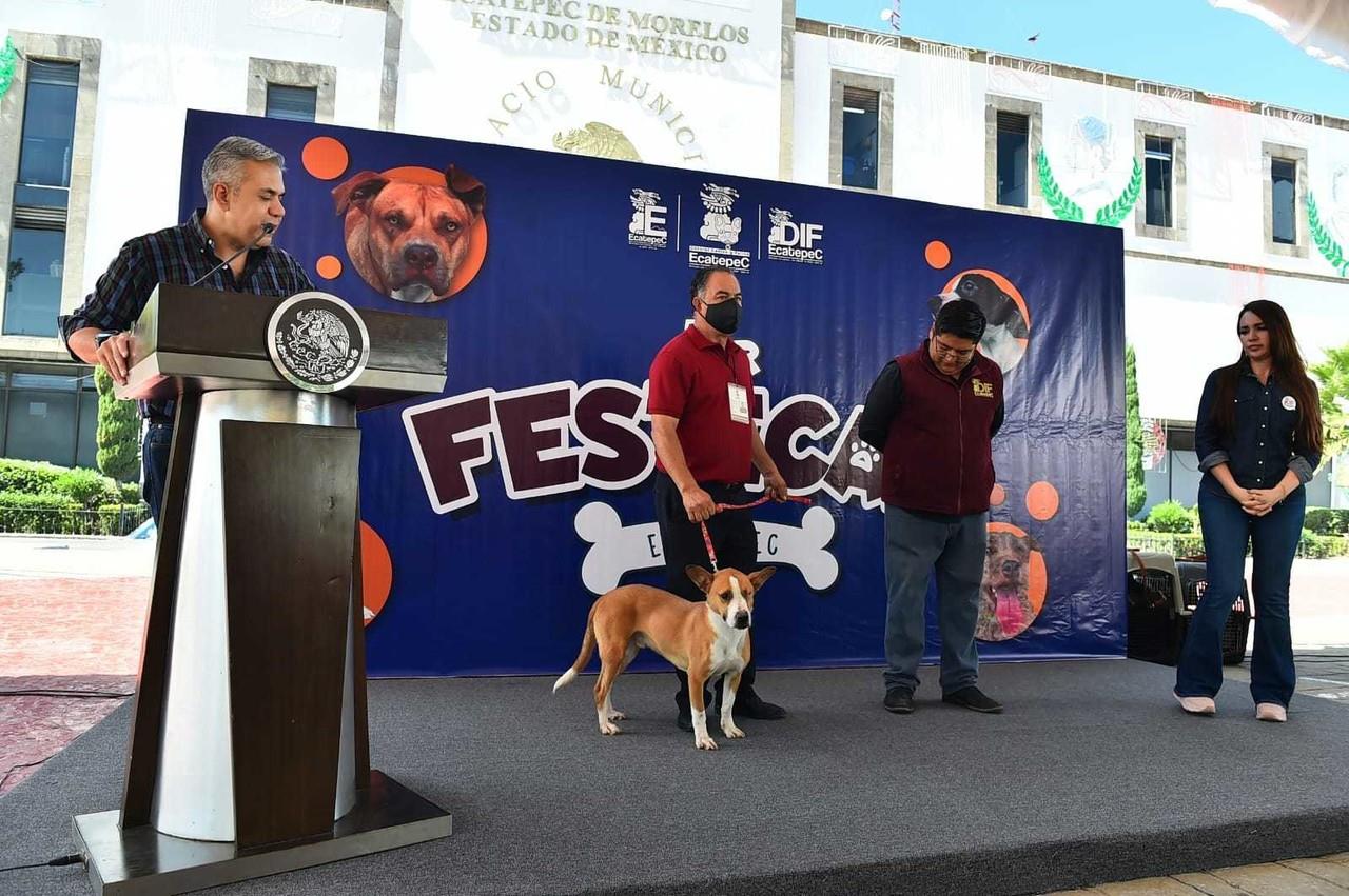 La Célula de Protección Animal que tendrá el municipio de Ecatepec brindará atención especializada a los casos de maltrato hacia animales domésticos o en situación de calle que pongan en riesgo su integridad. Foto: Gobierno de Ecatepec