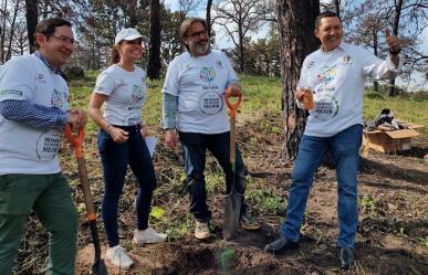 HEINEKEN México y Fundación Azteca realizan voluntariado en Bosque La Primavera