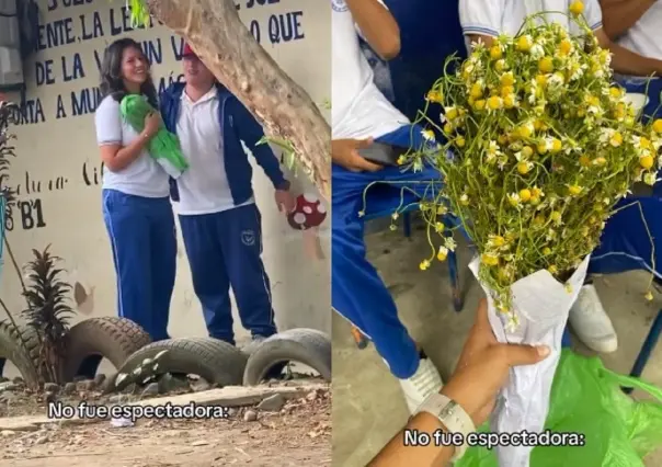 Regala flores amarillas para conquistar a una chica...pero de manzanilla