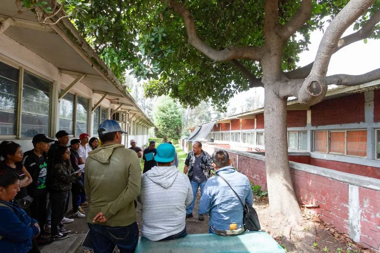 Capacita Secretaria del Medio Ambiente a podadores de la CDMX. Foto: SEDEMA