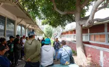 Capacita Secretaria del Medio Ambiente a podadores de la CDMX