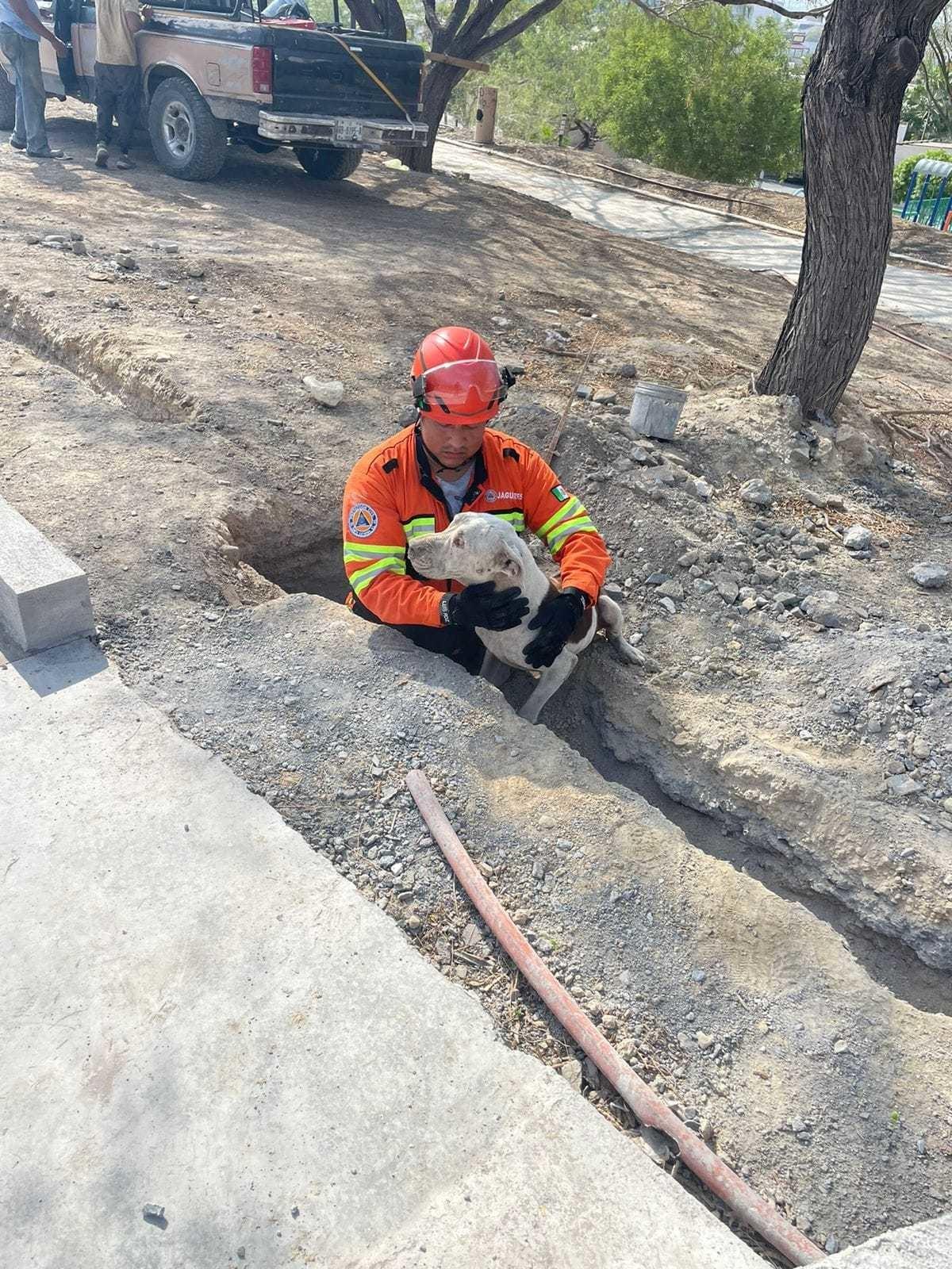 Rescatan a perrito ciego en un pozo de Parque Lineal en Santa Catarina
