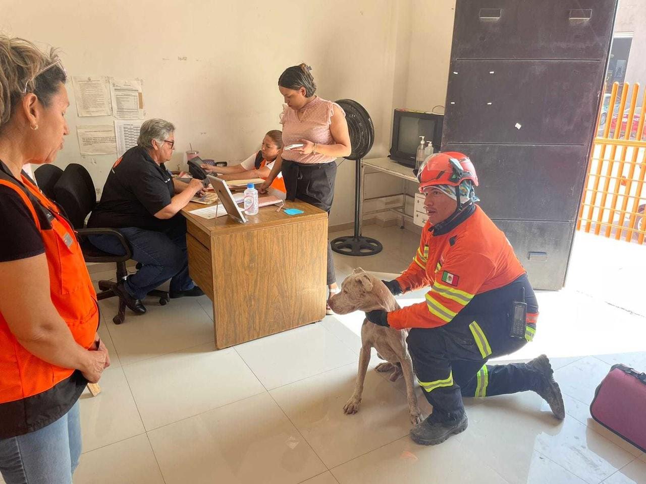 Rescatan a perrito ciego en un pozo de Parque Lineal en Santa Catarina