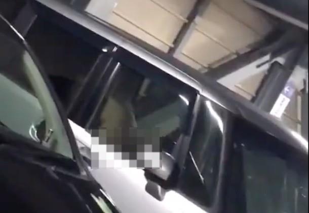 Captan a hombre haciendo el delicioso en su auto