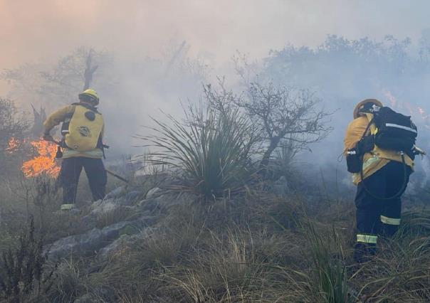 Arrasa incendio forestal con 10 hectáreas en García, Nuevo León