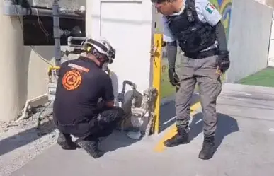 Desalojan guardería por fuga de gas en Monterrey