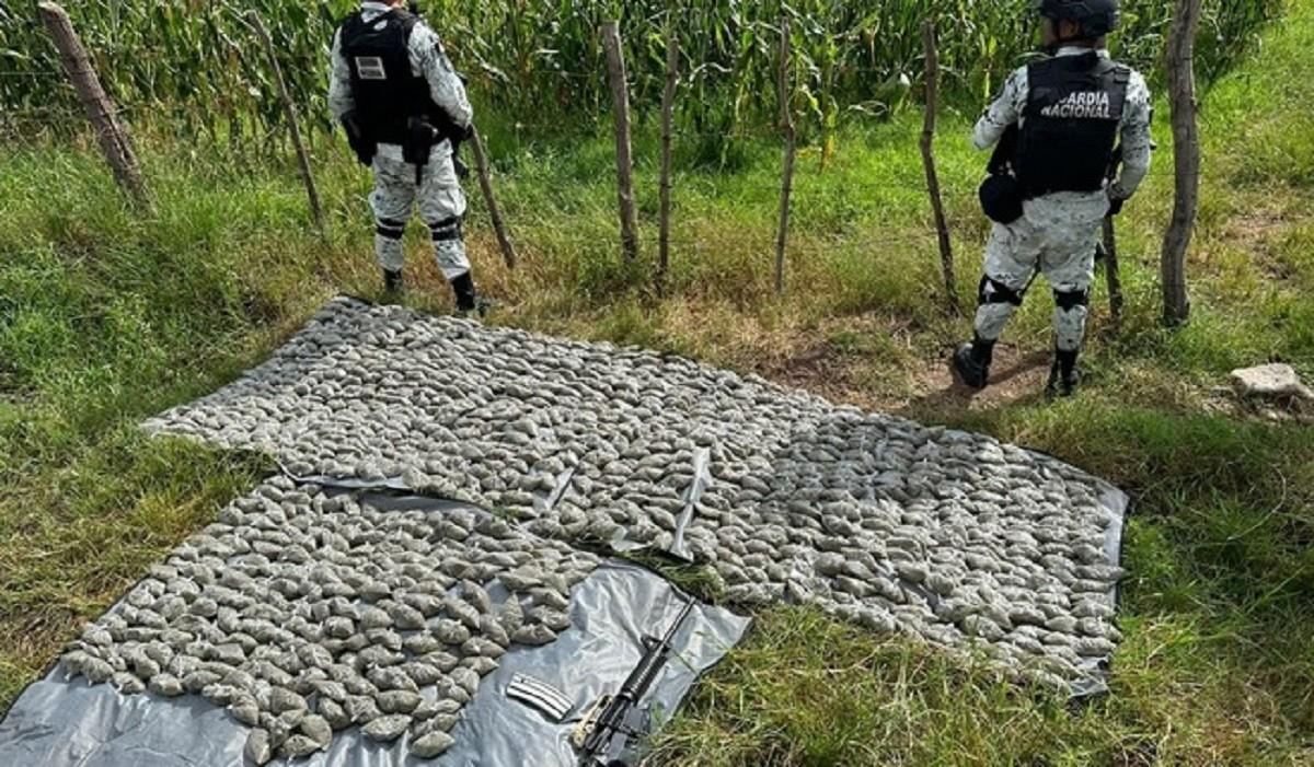 Los paquetes de marihuana y el arma fueron puestos a disposición de la Agencia del Ministerio Público de la Federación en Jalisco. Foto: Guardia Nacional