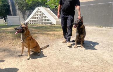 Agentes caninos se retiran tras 6 años de servicio