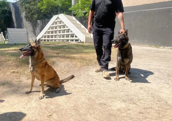 Agentes caninos se retiran tras 6 años de servicio