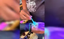 Muestran más de cerca un alacrán a turistas en Durango
