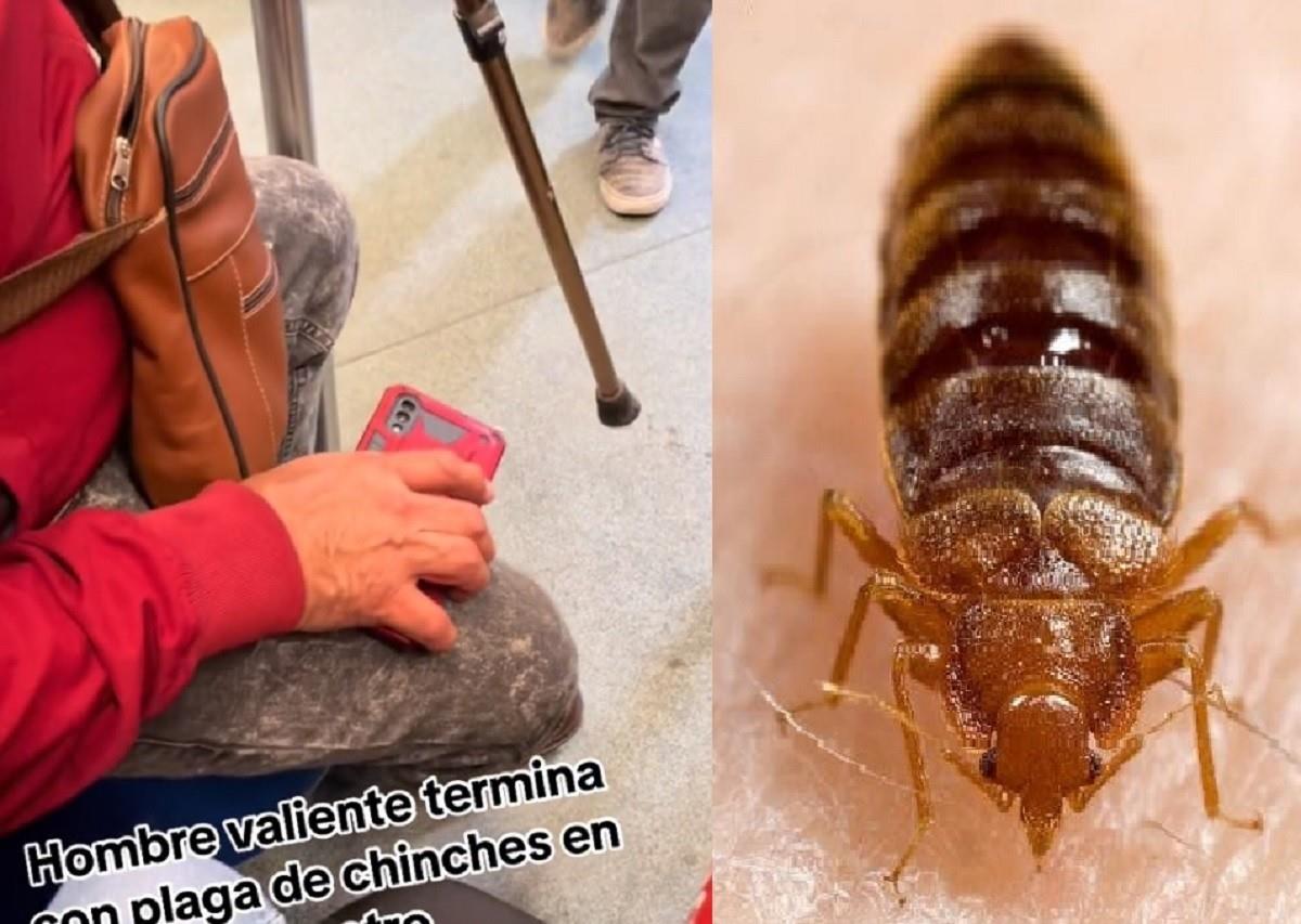 Hombre aplasta con su bastón a las chinches en el Metro de la Ciudad de México. Foto TikTok 19davidgarcia96 / MSD Manuals