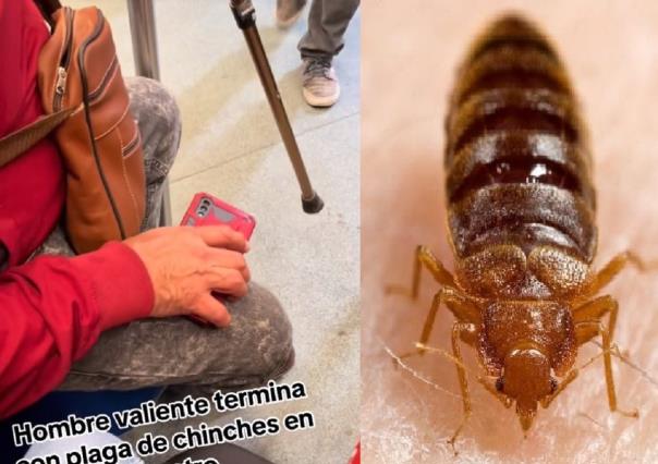 Héroe sin capa enfrenta plaga de chinches en el Metro con un bastón