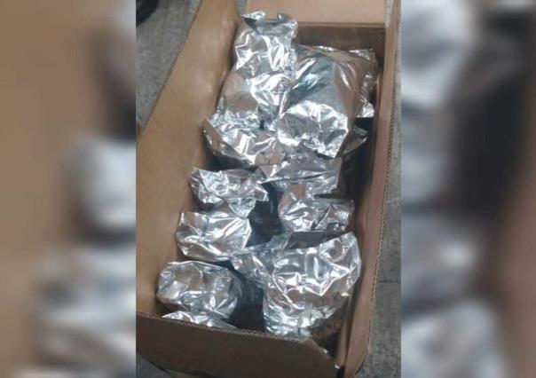 Aseguran 22 kilos de marihuana en Ciudad Valles, San Luis Potosí