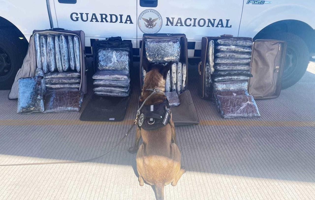 Las cuatro maletas, junto con la posible droga, fueron aseguradas y puestas a disposición de la Agencia del Ministerio Público Federal en Tlaxcala. Foto: Facebook Guardia Nacional