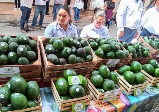 Inicia feria del aguacate en Donato Guerra; falta de lluvia afecta su producción