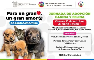 ¡Alistan Jornada de adopción canina y felina en San Mateo Atenco!