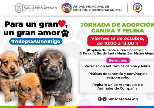 ¡Alistan Jornada de adopción canina y felina en San Mateo Atenco!