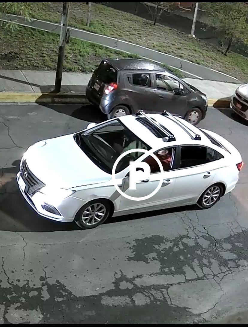 VIDEO: Buscan a Giny, perrita que fue robada en Monterrey