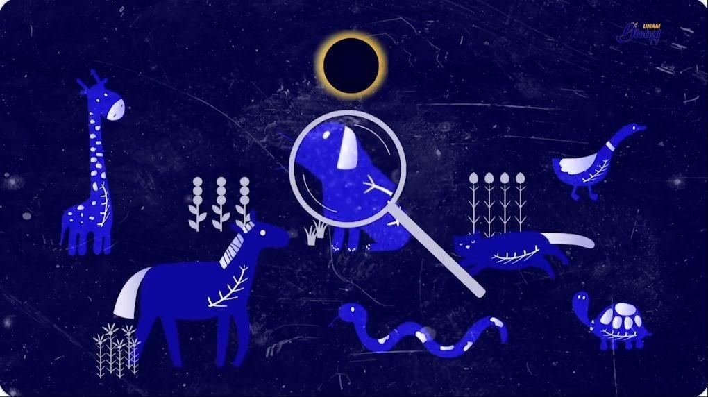 ¿Cómo podría afectar el eclipse solar a los animales?