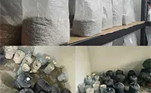 Acaban el negocio; desmantelan 2 laboratorios de marihuana y hongos, en Chalco