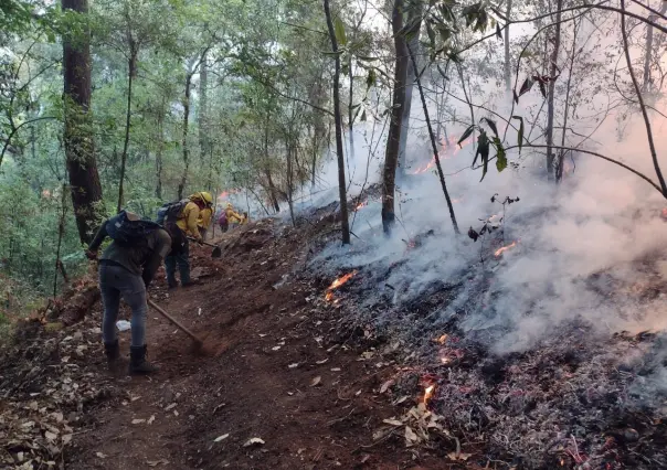 Ocupa Edomex el segundo lugar nacional en incendios forestales en 2023