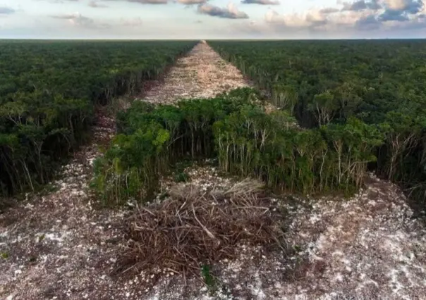 El fotógrafo Fernando Martínez y la otra cara del Tren Maya