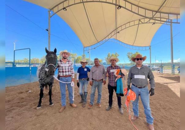 Equinoterapia: Caballos para curar el alma