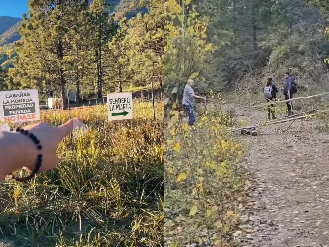 Según los informes, los dueños de las tierras han cortado árboles y han cerrado el acceso a los visitantes. Foto: Tiktok.