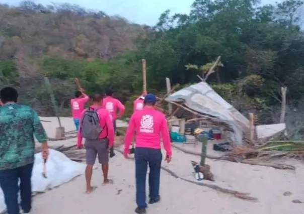 Desmantelan “campamento” tortuguero en Huatulco, Oaxaca