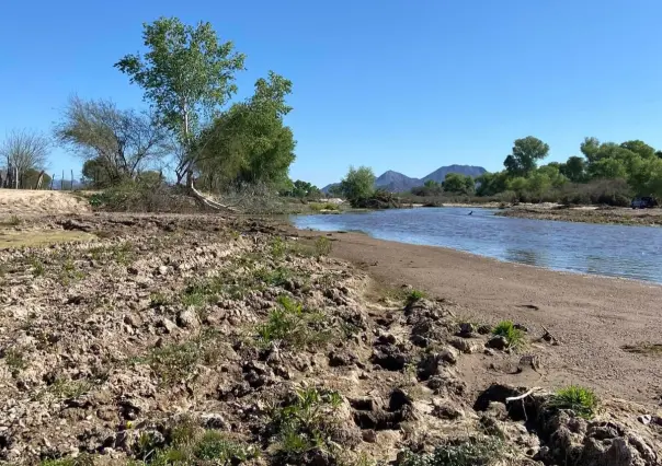 Pide Grupo México diálogo por contaminación en Río Sonora