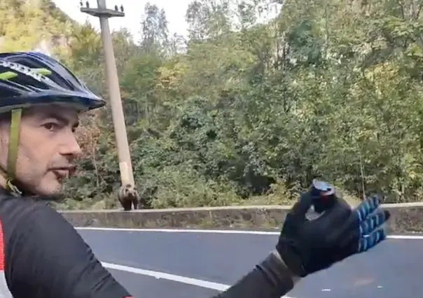 Ciclistas se topan con un oso; actúan tranquilos