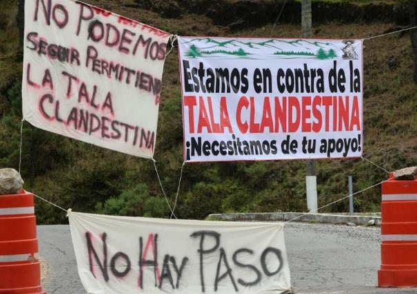 Bloquean carretera a Jilotzingo, demandan comuneros alto a la tala clandestina