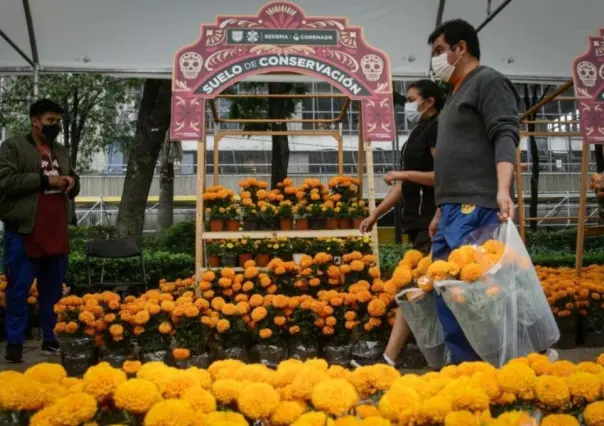 Visita el Festival de las Flores de Cempasúchil 2023 en Paseo de la Reforma