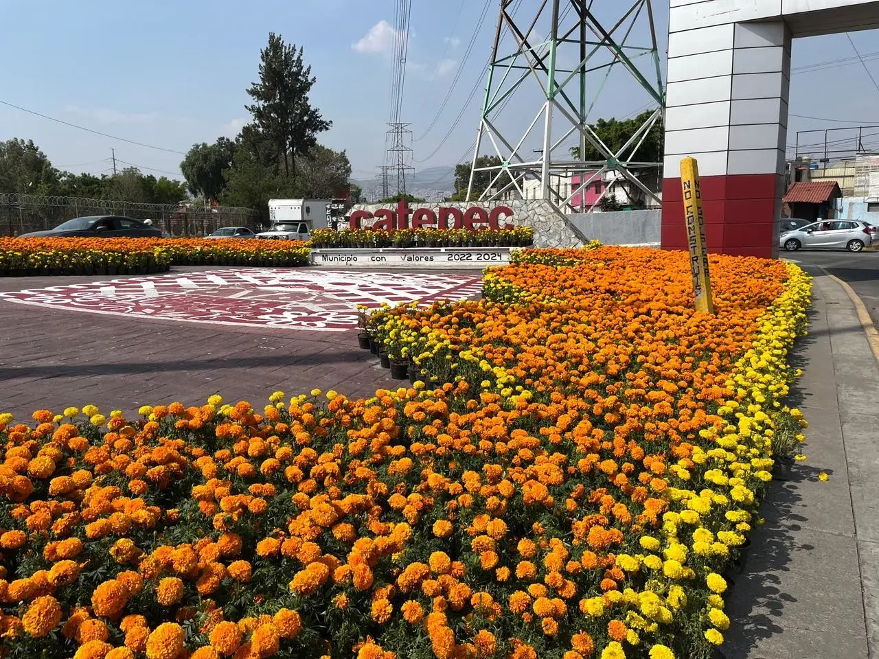 Las flores de cempasúchil están en la avenida R-1, adorna el camellón central y están resguardadas por una patrulla. Foto: Israel Lorenzana