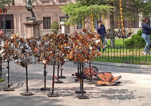 Exaltan tradiciones mexicanas con exhibición del paso de la Mariposa Monarca